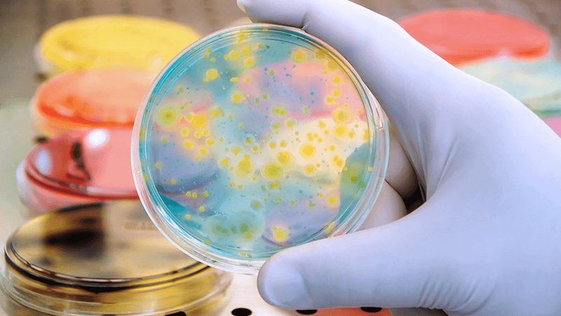 纺织酶制剂：揭秘其使用工艺与关键要点