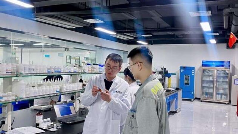 酵素与酶：揭秘生物催化剂的奥秘