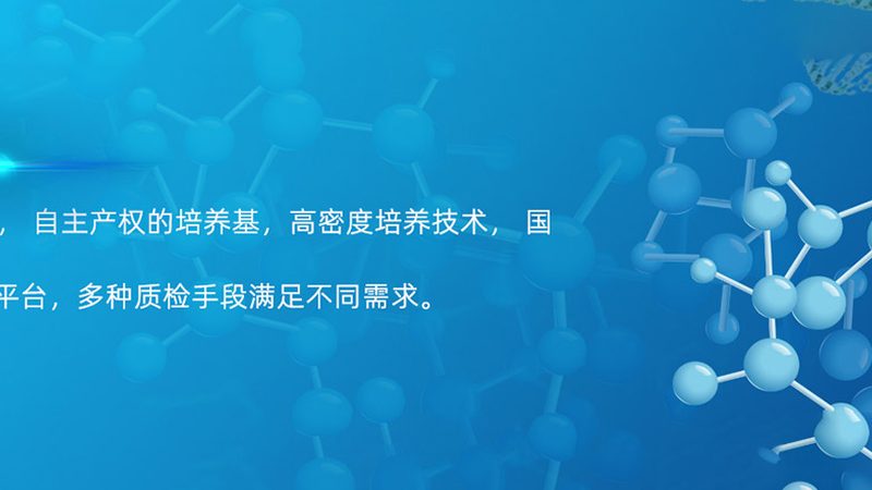 生物医药CRO行业：揭秘十大排名背后的考量因素