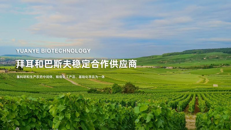 PCR试剂盒型号安装方法详解：从原理到操作