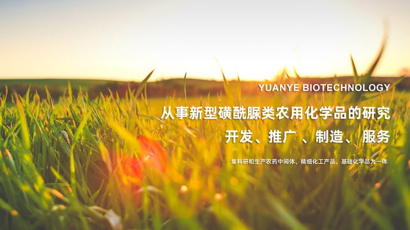 生物制品质量控制参数揭秘：关键指标与检测方法**