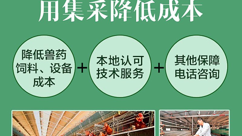 实验室耗材与普通耗材：关键差异与选择要点