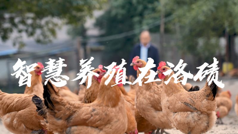 植物组织培养基挑选：关键因素与误区解析