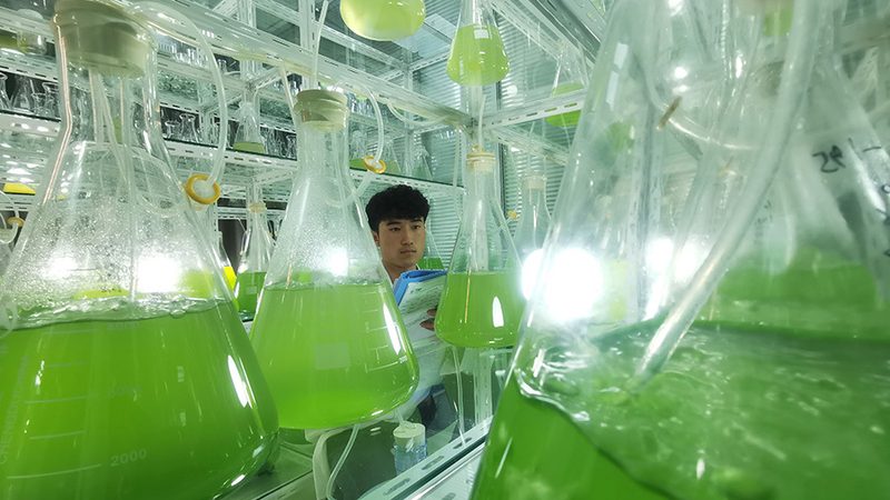 第三方诊断试剂代工工厂：揭秘其背后的工艺与选择要点**